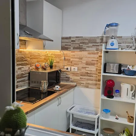 Daire Strelitzia House