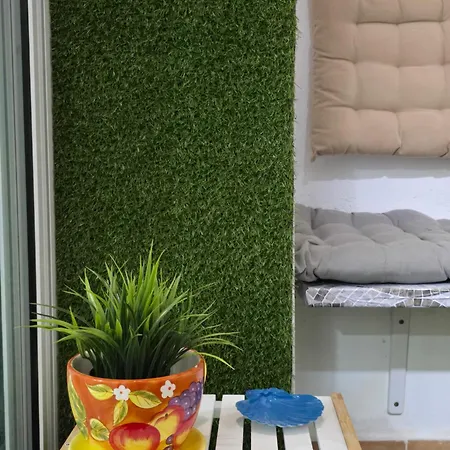 Daire Strelitzia House *