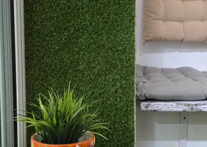 Apartament Strelitzia House *