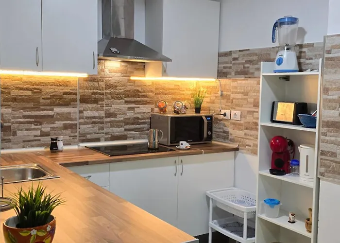 Strelitzia House * 大加那利岛拉斯帕尔马斯